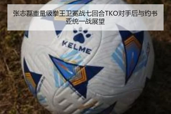 张志磊重量级拳王卫冕战七回合TKO对手后与约书亚统一战展望