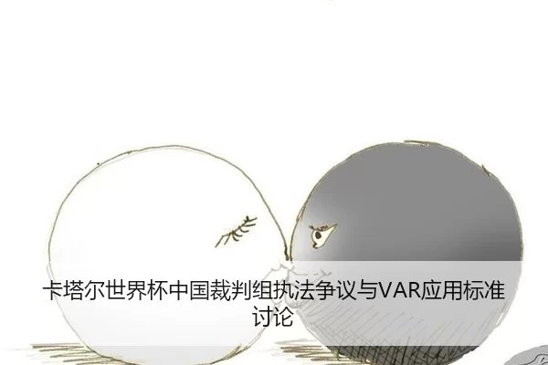 ka-ta-er-shi-jie-bei-zhong-guo-cai-pan-zu-zhi-fa-zheng-yi-yu-ying-yong-biao-zhun-tao-lun-2-664.jpg